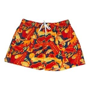 Chubbies Mens Sz XXL Houston Themed Classic Swim Trunks 5.5"  EUC